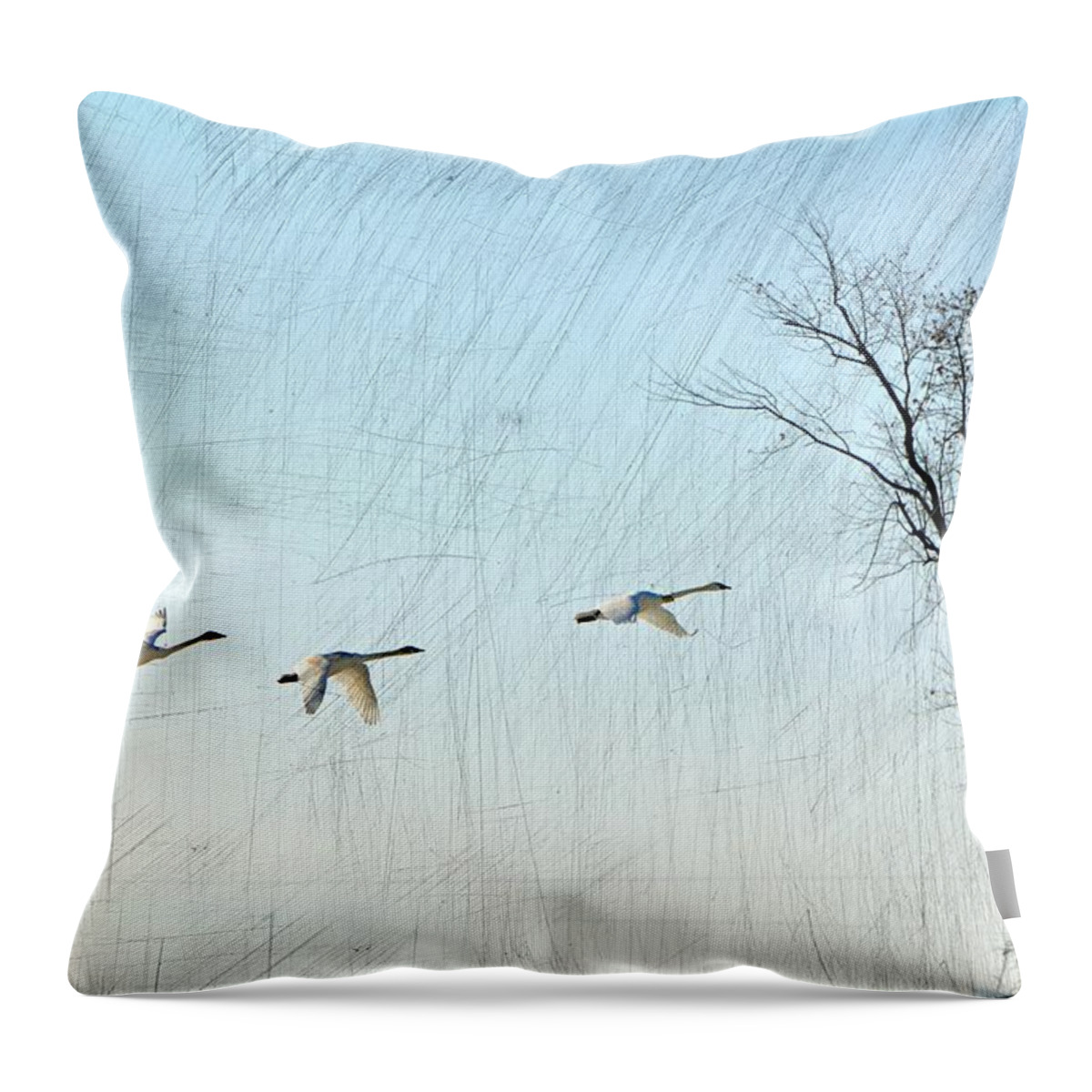 Geese Throw Pillow featuring the photograph Snow Geese in Flight by Marty Koch
