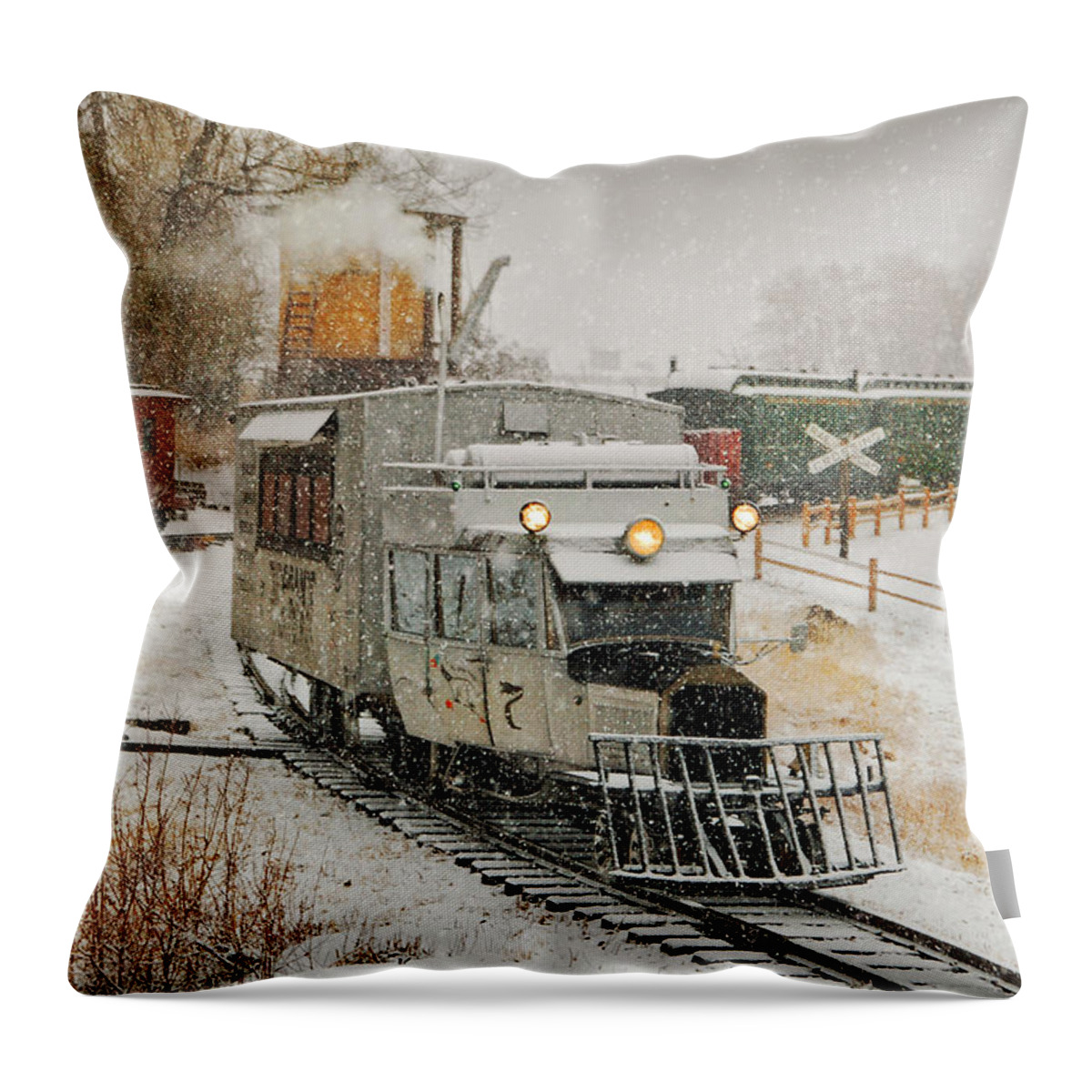 Steam Train Photographs Throw Pillow featuring the photograph Snow Goose by Ken Smith