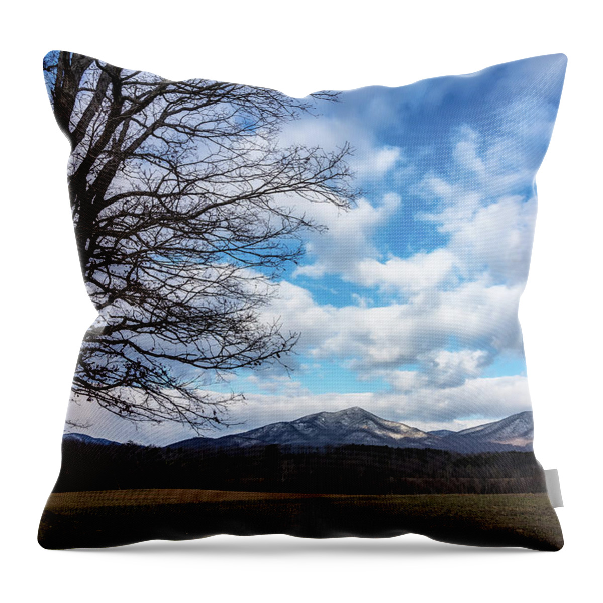Peaks Of Otter Throw Pillow featuring the photograph Snow in the high mountains by Steve Hurt