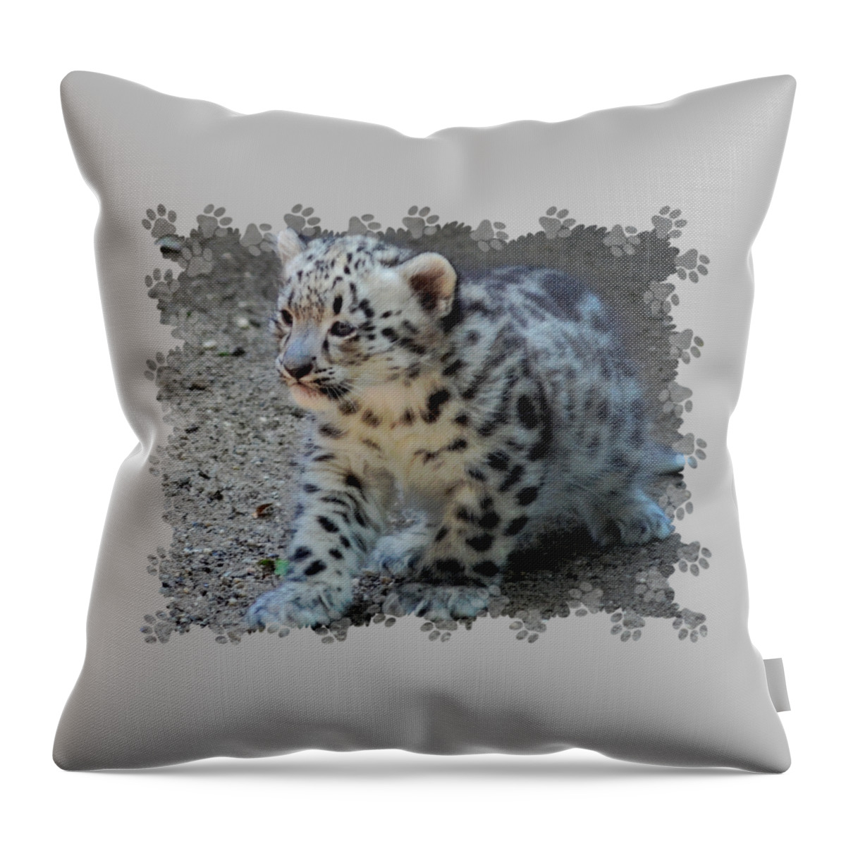 Terry Deluco Throw Pillow featuring the photograph Snow Leopard Cub Paws Border by Terry DeLuco