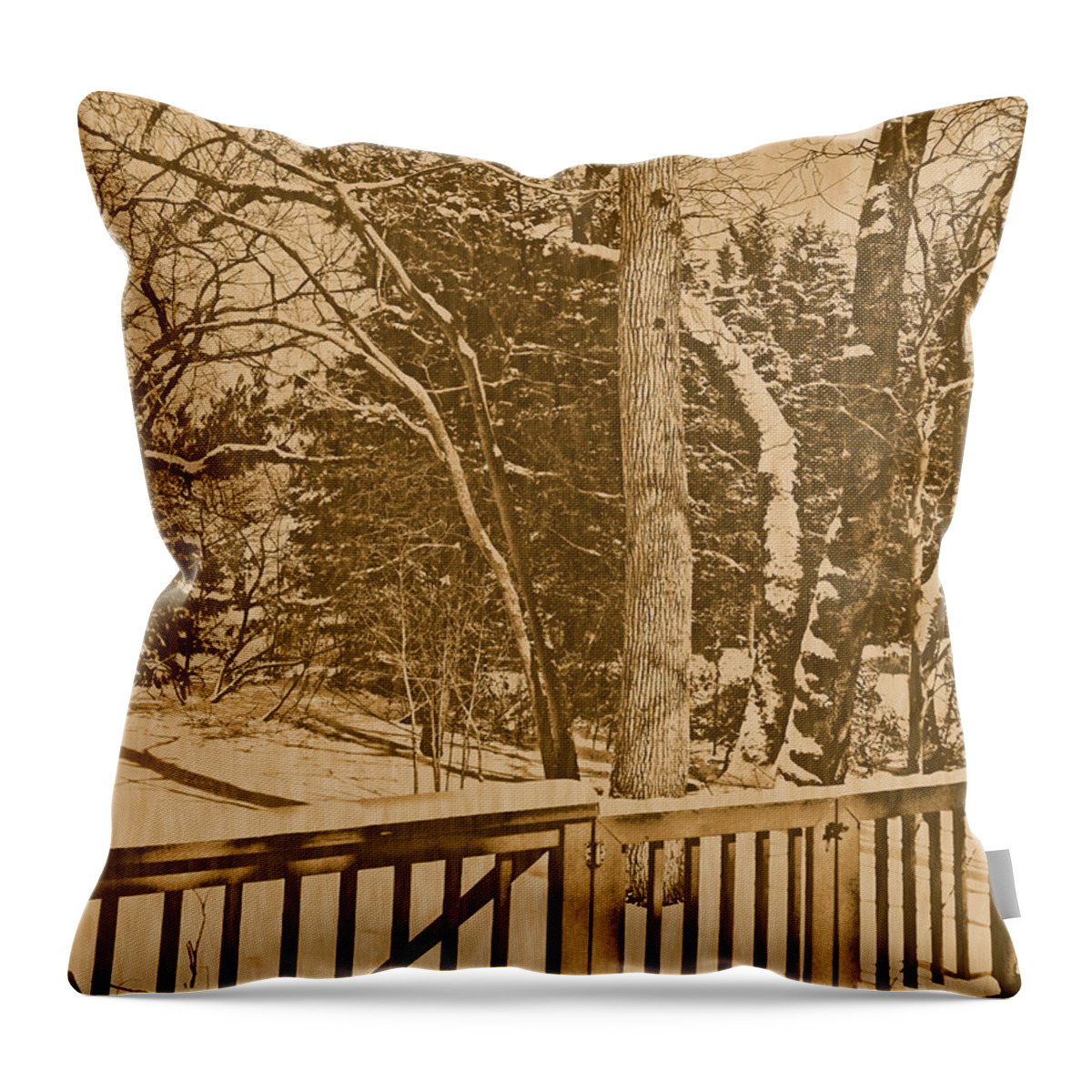 Snow Throw Pillow featuring the photograph Snow Scene in Sepia by Pamela Hyde Wilson