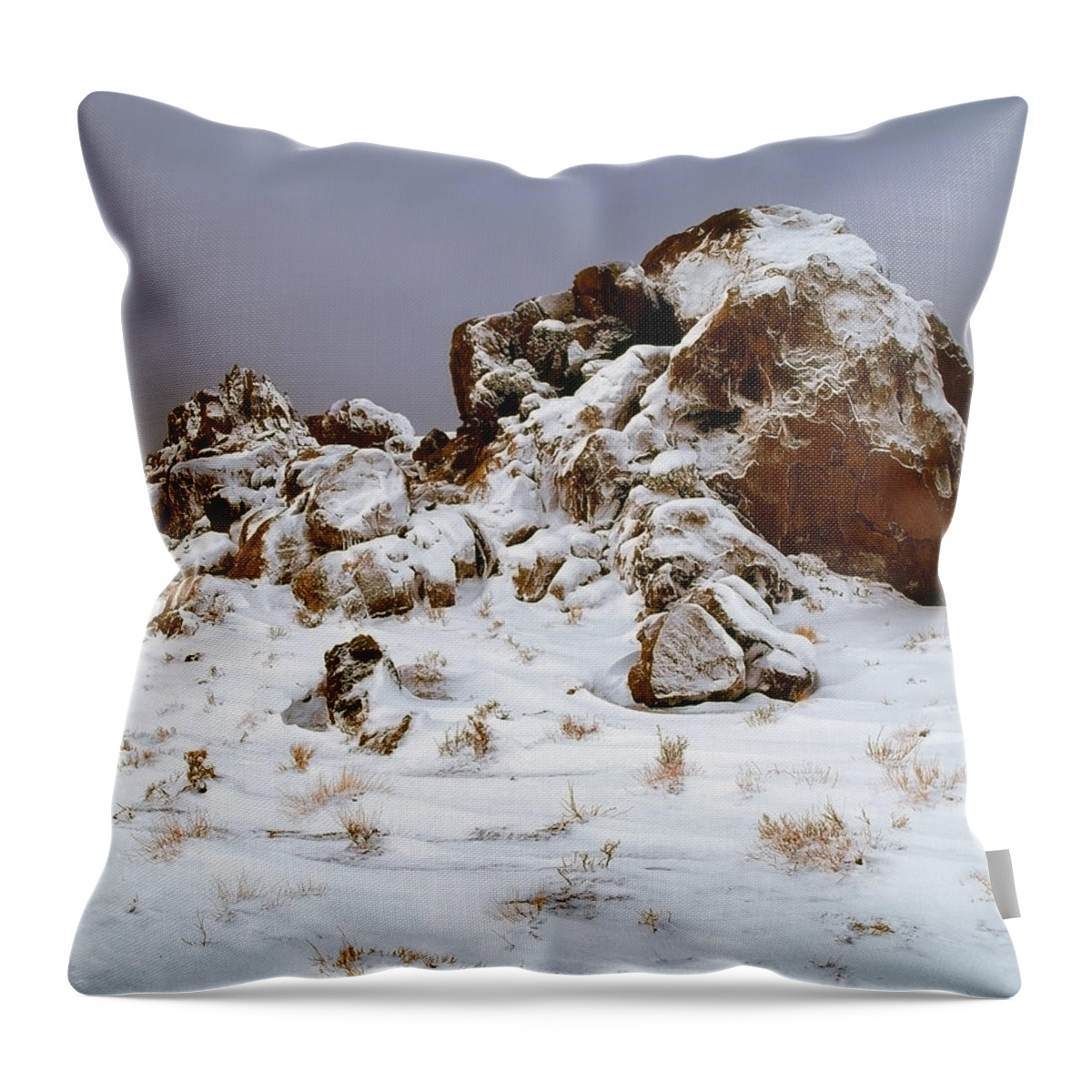 Eastern Throw Pillow featuring the photograph Snow Stones by Paul Breitkreuz