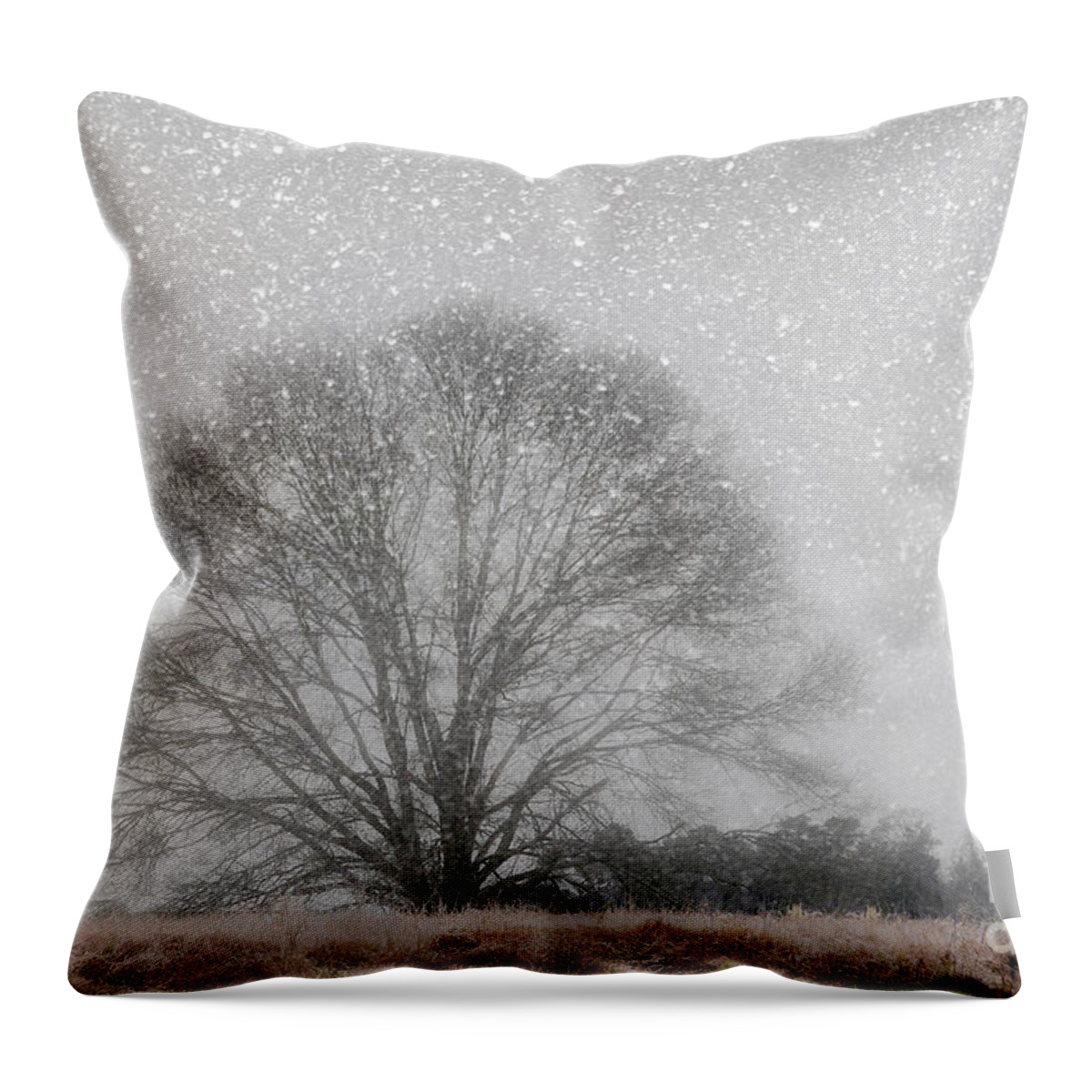 Scenic Throw Pillow featuring the photograph Snow Storm Tree by Kathy Baccari