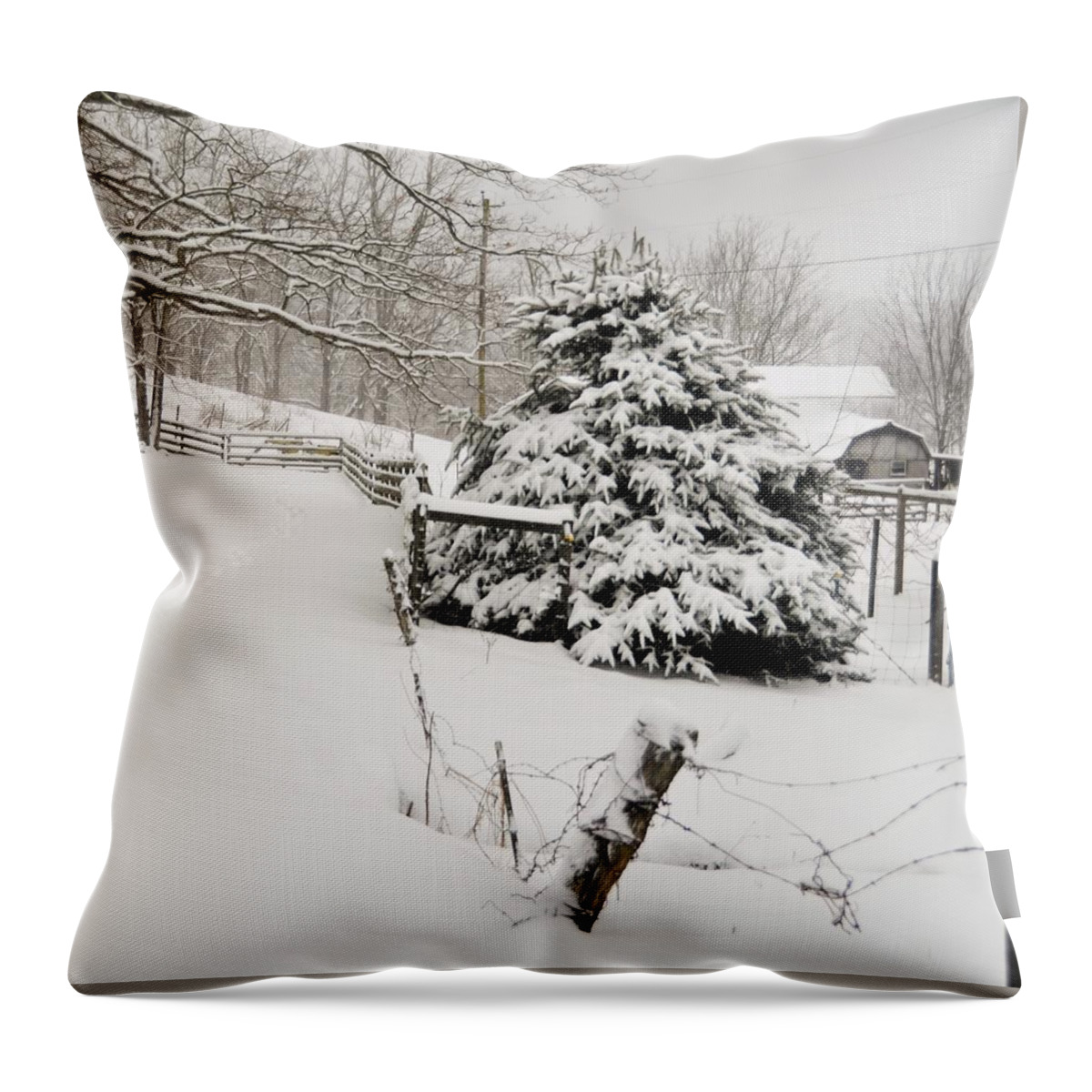  Throw Pillow featuring the photograph Snow Tree by Chuck Brown