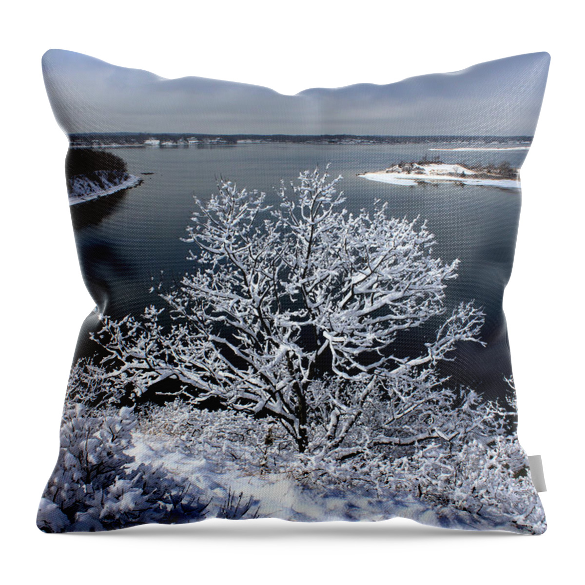 Snowy Tree Throw Pillow featuring the photograph Snow Tree Cove Port Jefferson New York by Bob Savage