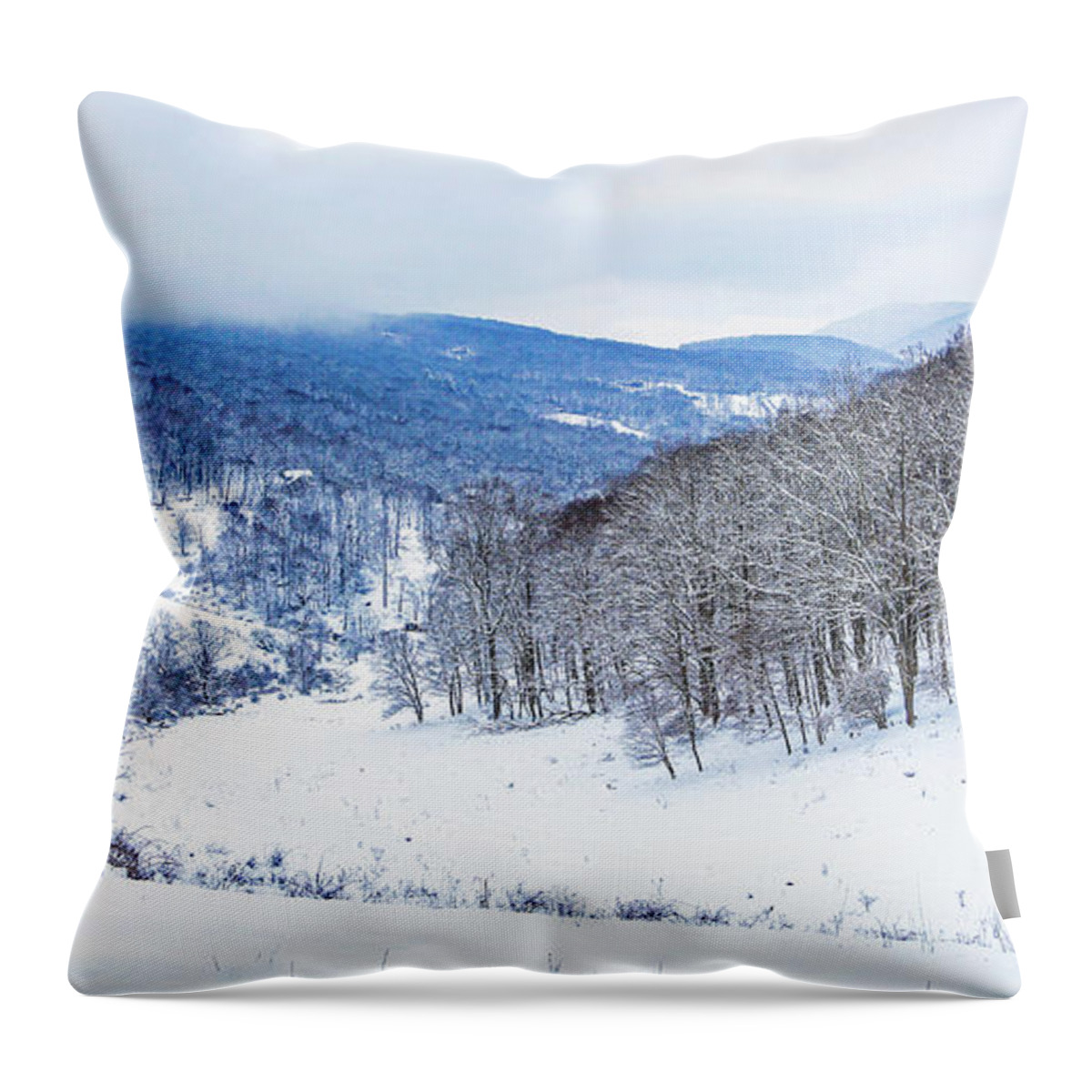 Snow Throw Pillow featuring the photograph Snow Valley by Dale R Carlson