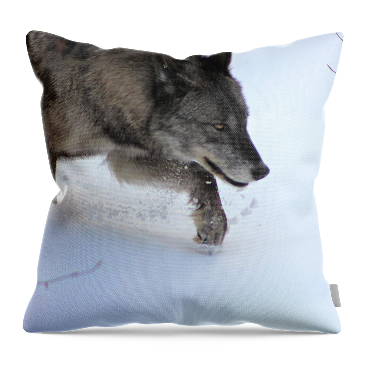 Wolf Throw Pillow featuring the photograph Snow Walker by Azthet Photography