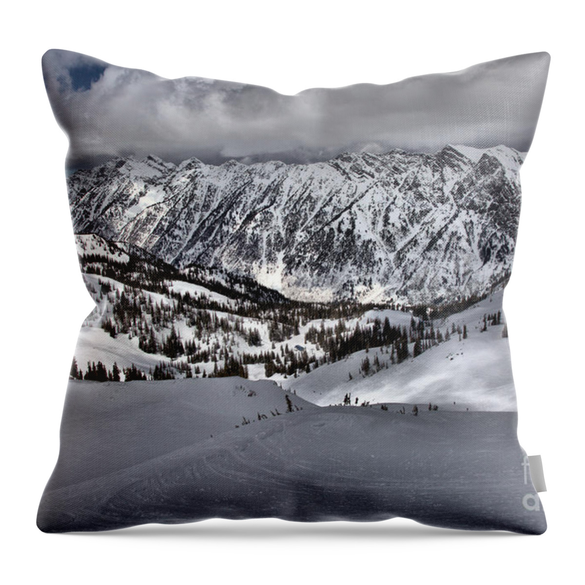 Mark Malu Throw Pillow featuring the photograph Snowbird Little Cloud Winter by Adam Jewell