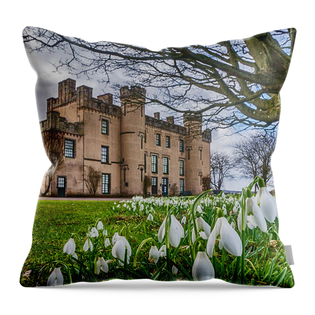 House Of The Binns Throw Pillow featuring the photograph Snowdrops at the House of the Binns by Douglas Milne