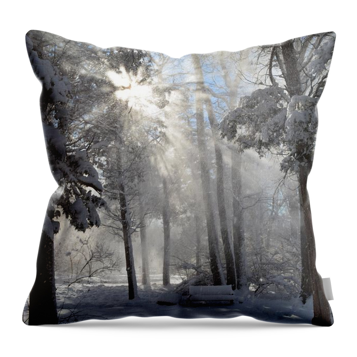 Sunburst Throw Pillow featuring the photograph Snowflakes and Sunbeams by Dani McEvoy