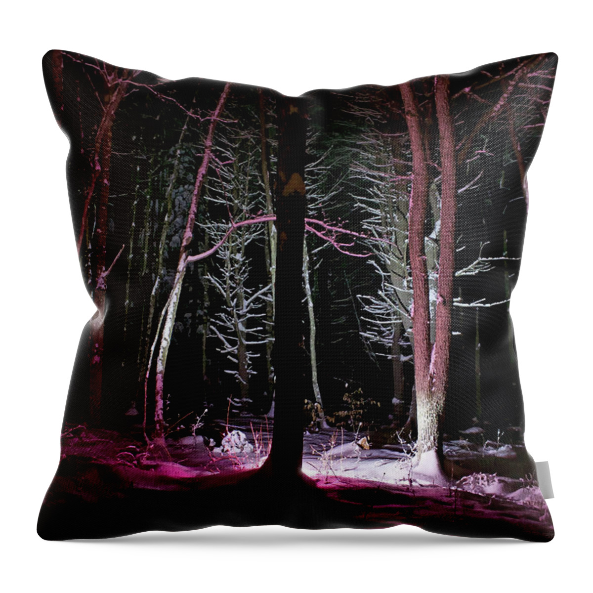 Snow Throw Pillow featuring the photograph Snowgenta by Jerry LoFaro