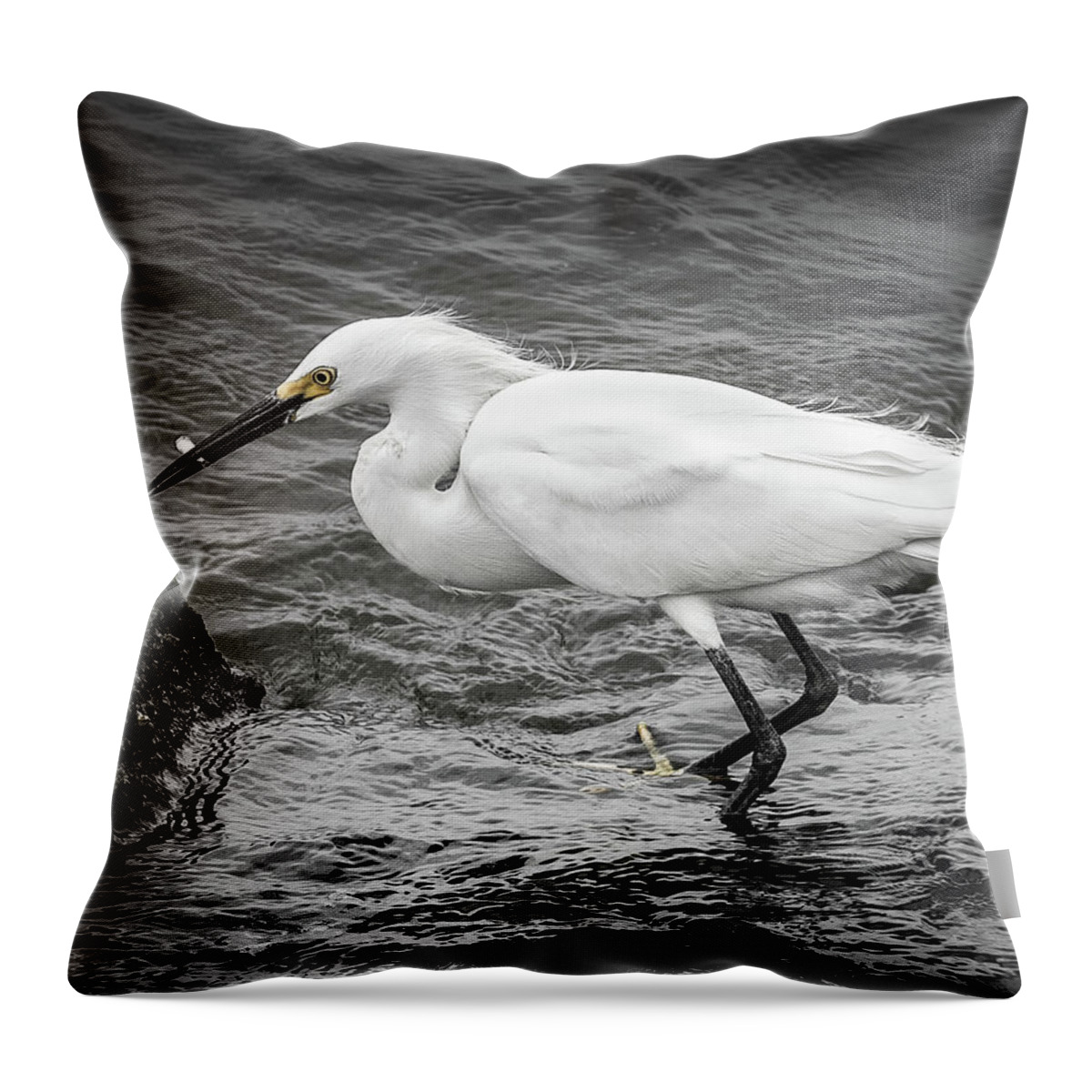 Snowy Egret Alabama Bird Birds Nature Mobile Bay Wildlife Water Fish Markpeavyphotography Mark Peavy Throw Pillow featuring the photograph Snowy Egret 1 by Mark Peavy