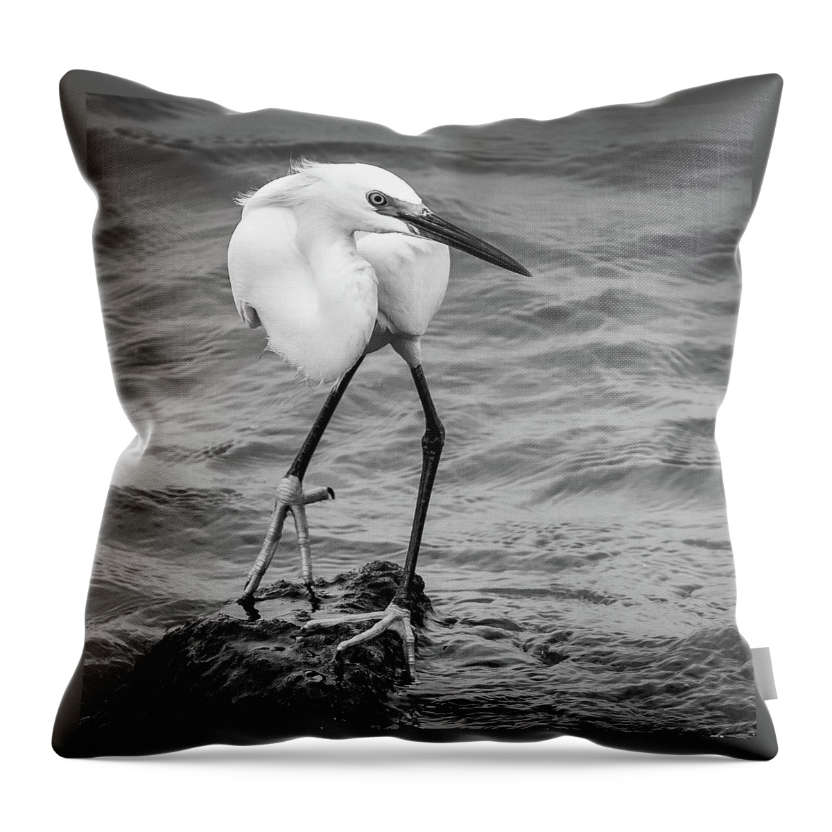 Snowy Egret Alabama Bird Birds Nature Mobile Bay Wildlife Water Fish Markpeavyphotography Mark Peavy Throw Pillow featuring the photograph Snowy Egret 2 by Mark Peavy