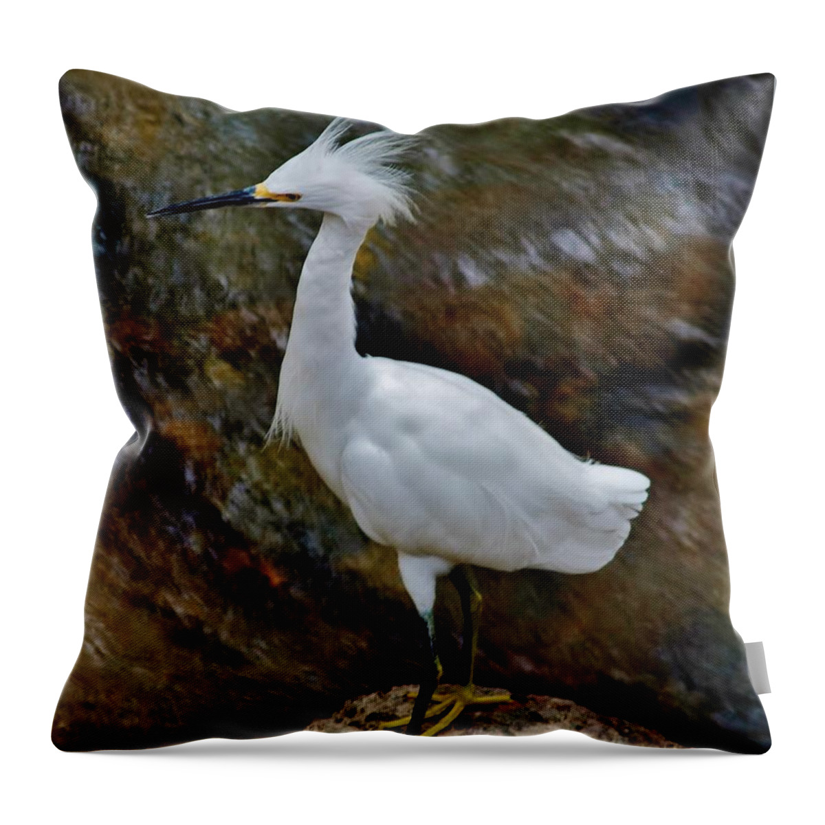 Birds Throw Pillow featuring the photograph Snowy Egret 2 by Stacie Gary