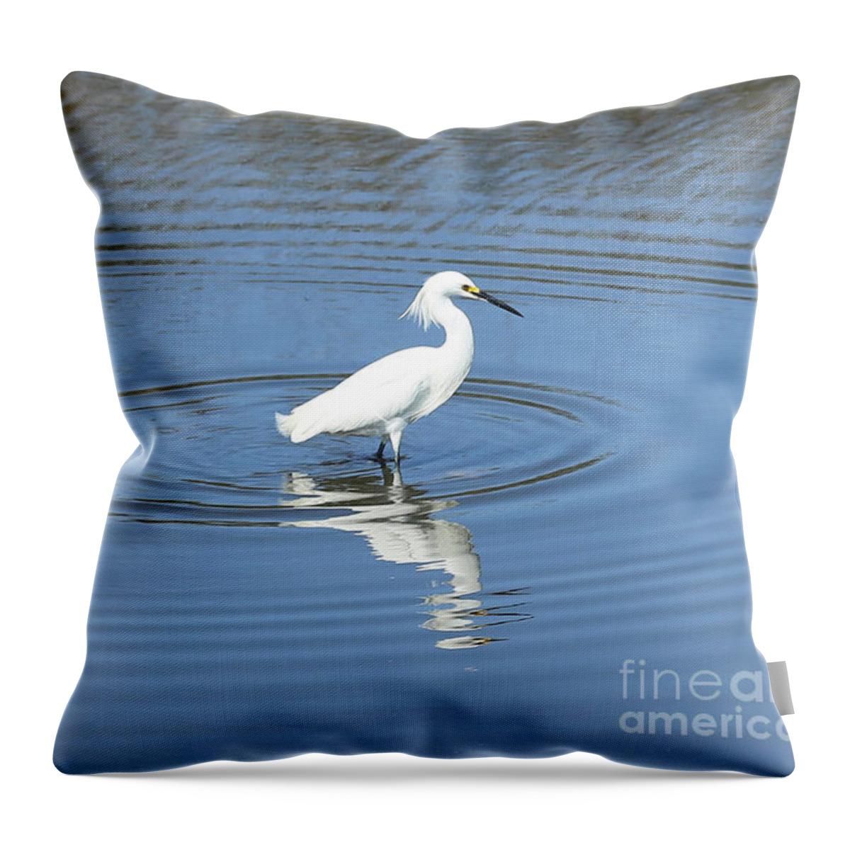 Egret Throw Pillow featuring the photograph Snowy Egret in Blue Water by Carol Groenen