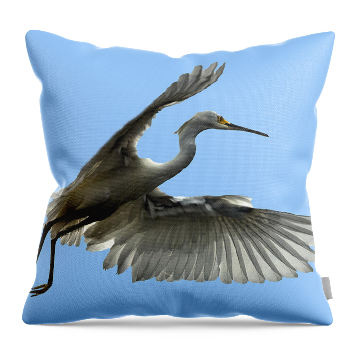 Snowy Egret Throw Pillow featuring the photograph Snowy Egret Reflection In Lake by William Bitman