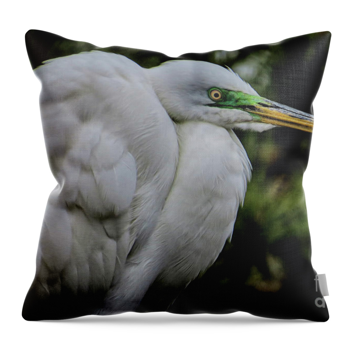 Egret Throw Pillow featuring the photograph Snowy Egrets by Dawn Gari