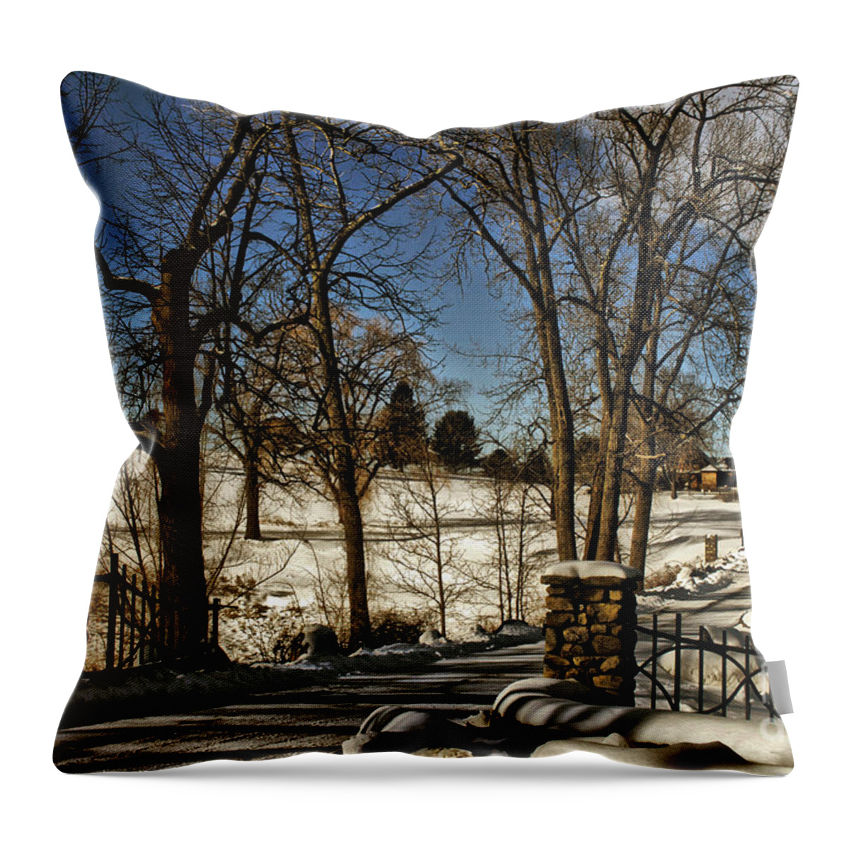 Snow Throw Pillow featuring the photograph Snowy Gates by Onedayoneimage Photography