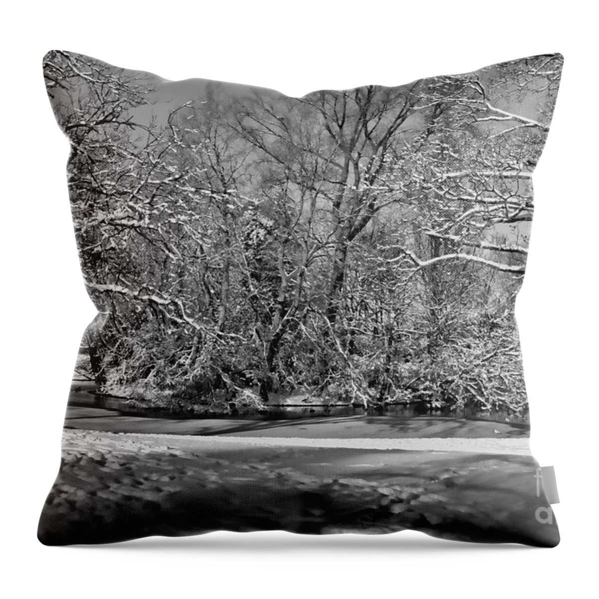 Landscape.winter Throw Pillow featuring the photograph Snowy mono island by Stephen Melia