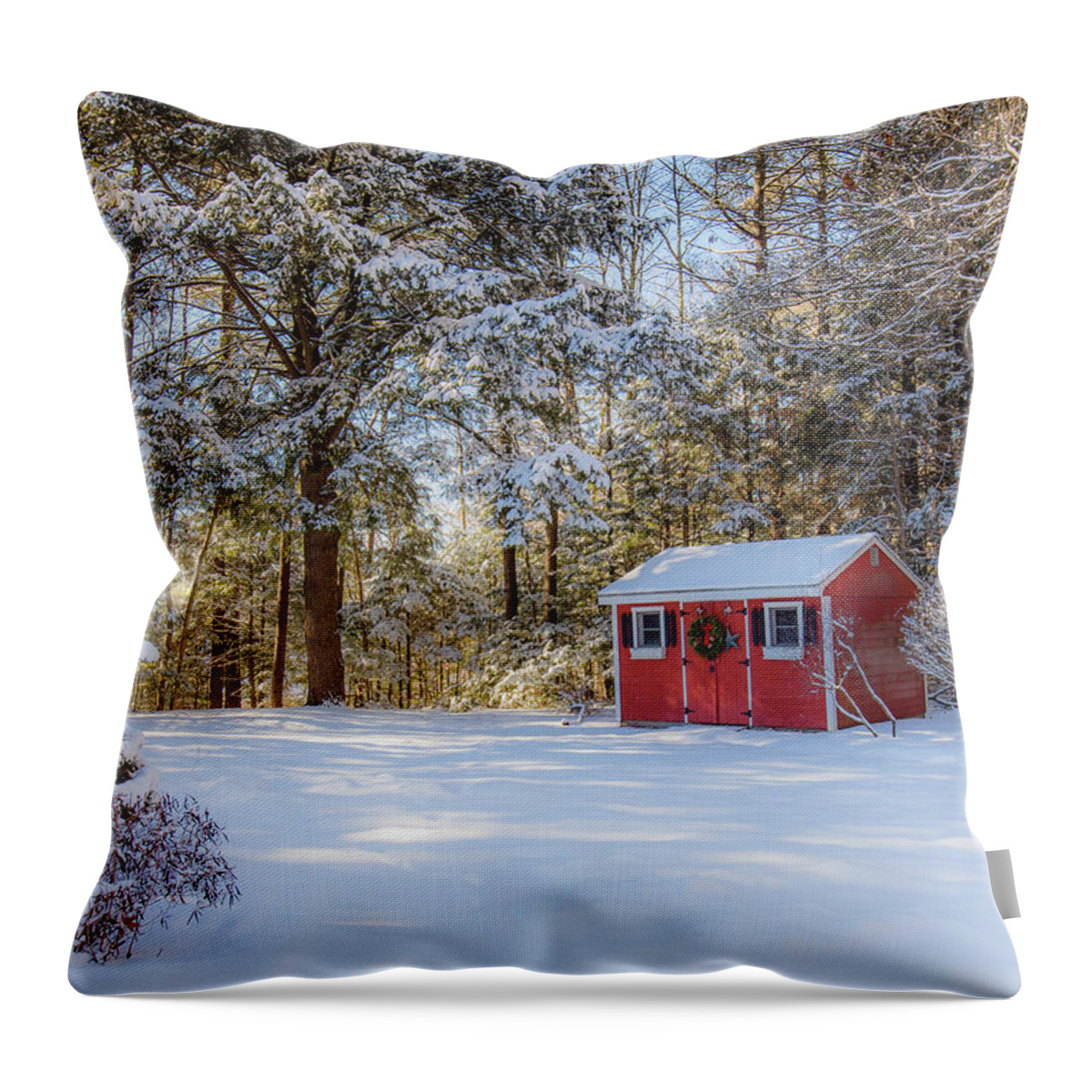 Snow Throw Pillow featuring the photograph Snowy Morning by Debbie Gracy
