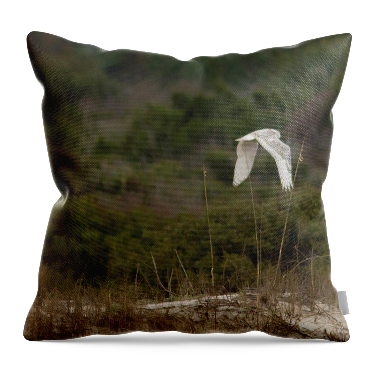 Snowy Owl Throw Pillow featuring the photograph Snowy Owl Dune Flight by Paul Rebmann