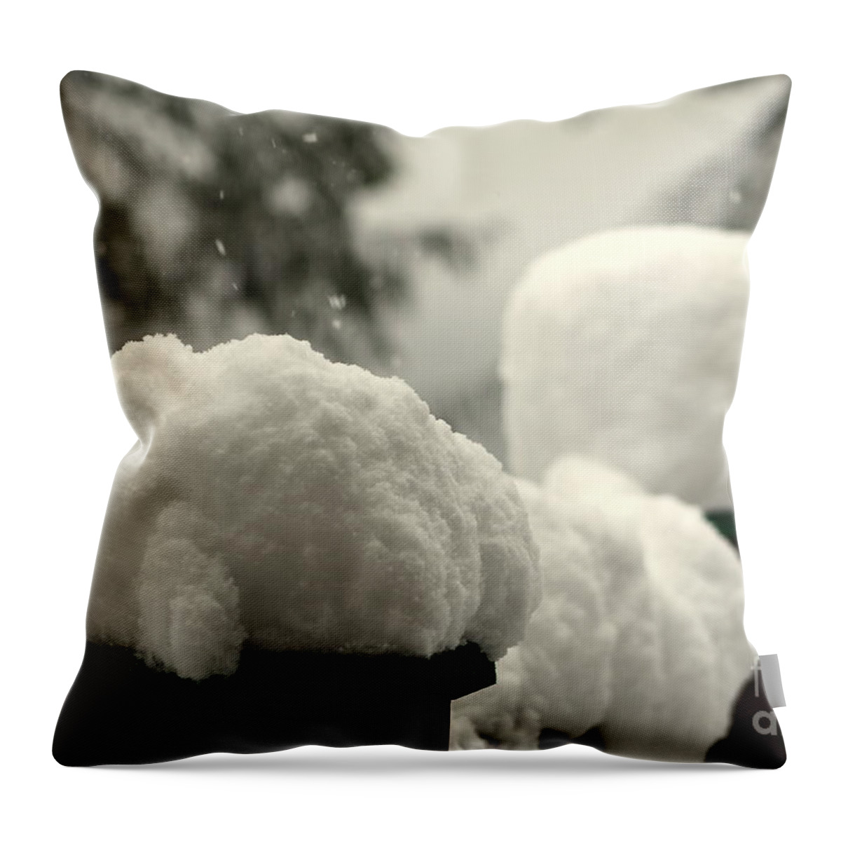 Snow Throw Pillow featuring the photograph Snowy Posts by Leone Lund