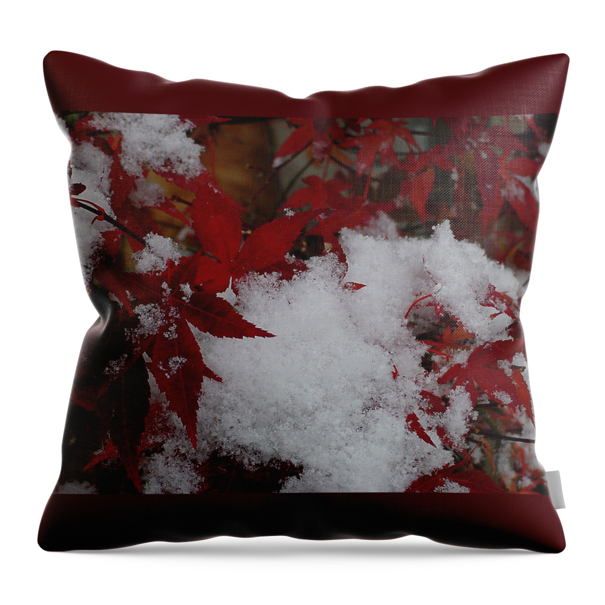 Red Throw Pillow featuring the photograph Snowy Red Maple by Shirley Heyn