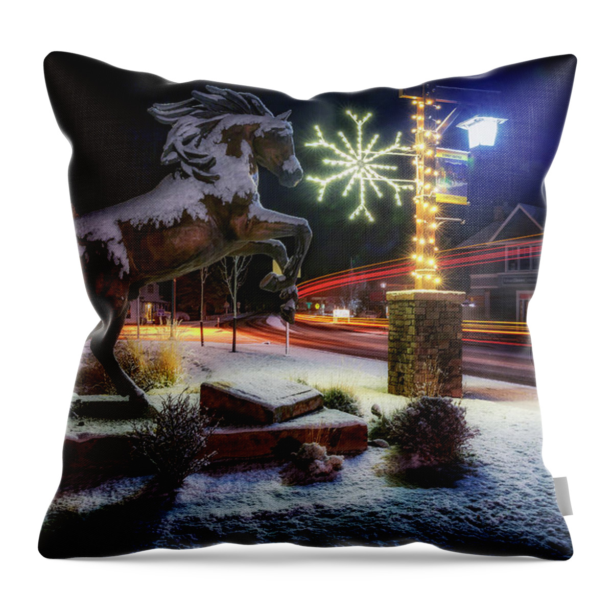 Night Throw Pillow featuring the photograph Snowy Sisters by Cat Connor