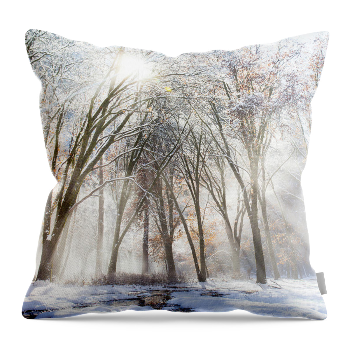 Trees Throw Pillow featuring the photograph Snowy Sunrise by Leslie Wells