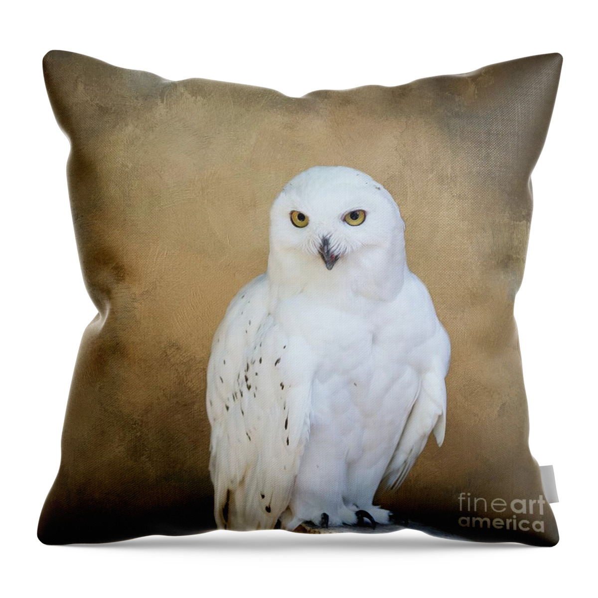Snowy Owl Throw Pillow featuring the photograph Snowy White by Eva Lechner