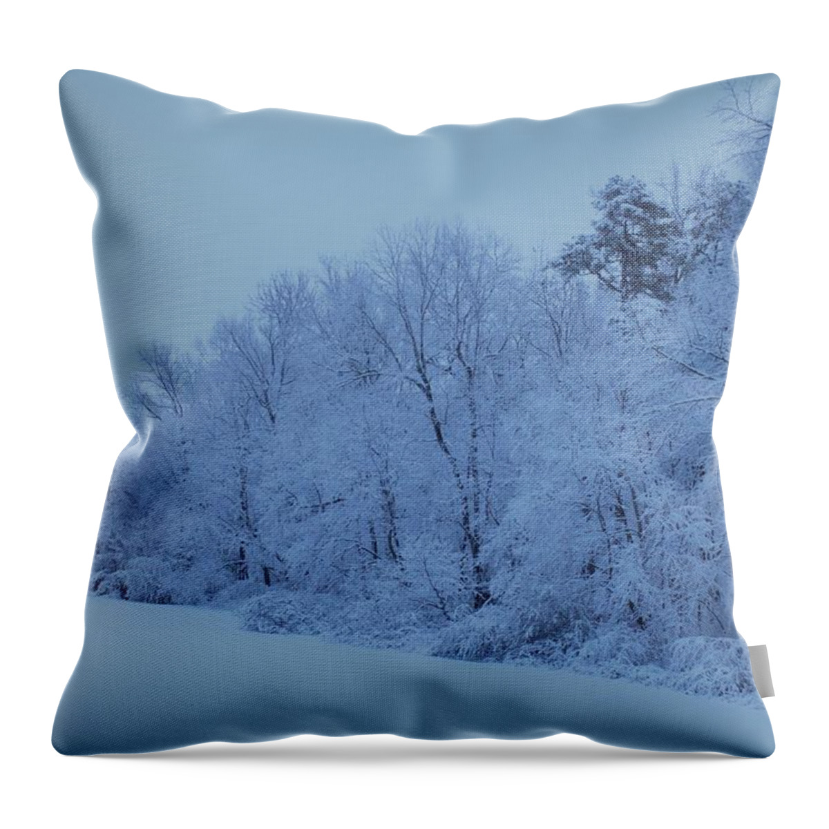 Snow Throw Pillow featuring the photograph Snowy White Limbs with Arctic Filter by Ali Baucom