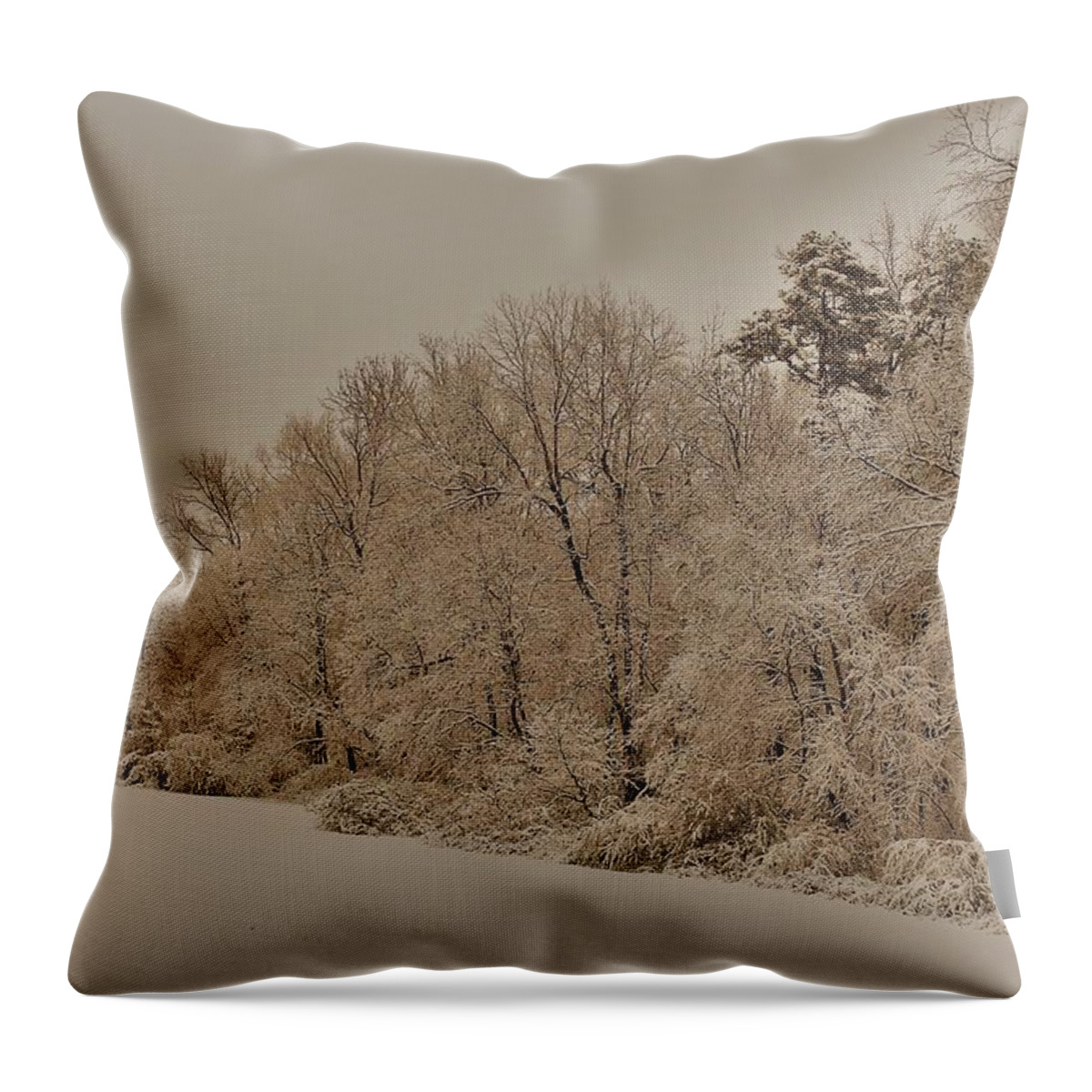 Trees Throw Pillow featuring the photograph Snowy White Limbs with Zeke filter by Ali Baucom