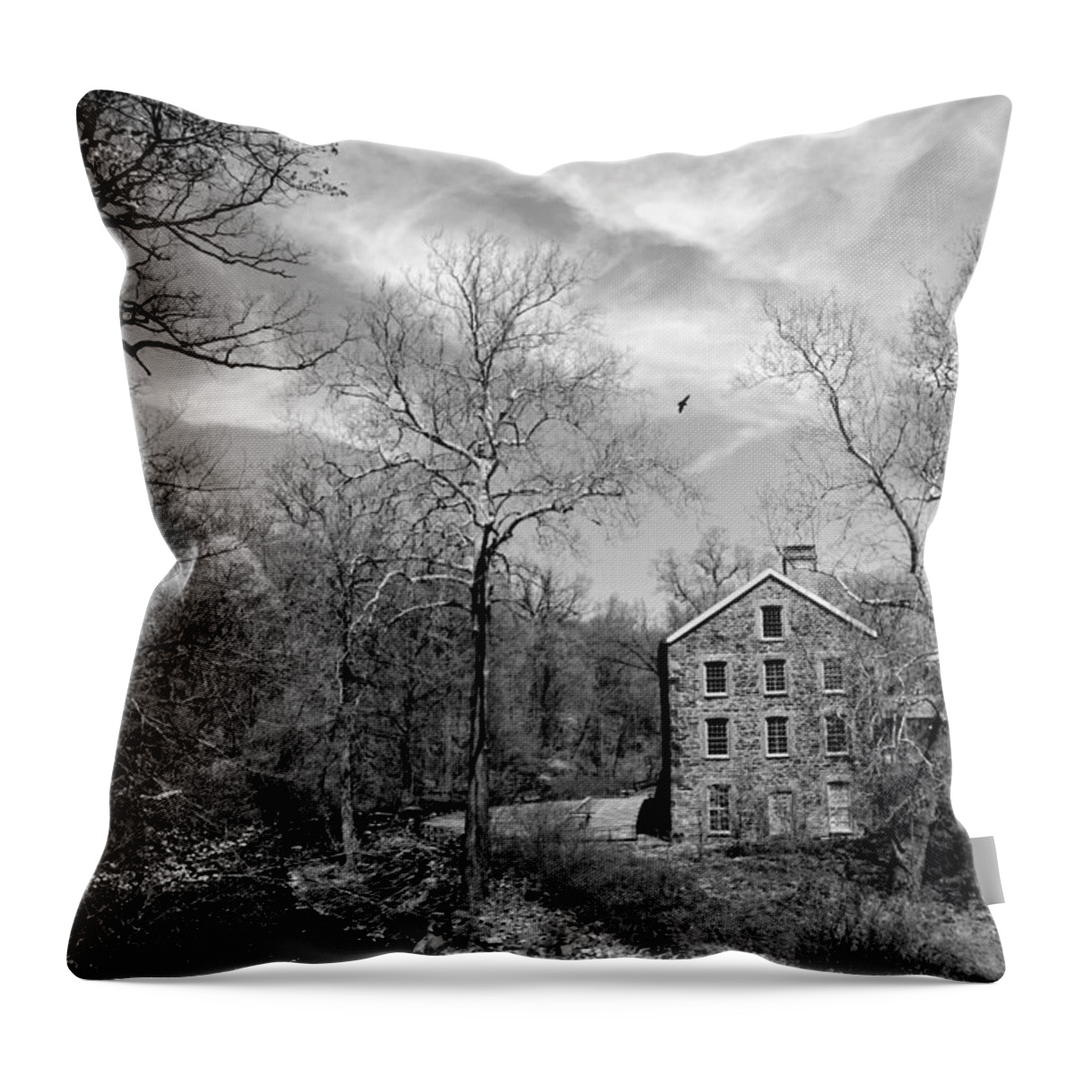 New York Botanical Gardens Throw Pillow featuring the photograph Snuff by Diana Angstadt