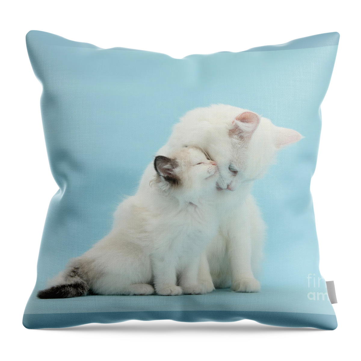 White Maine Coon Throw Pillow featuring the photograph Snuggle up with mother by Warren Photographic