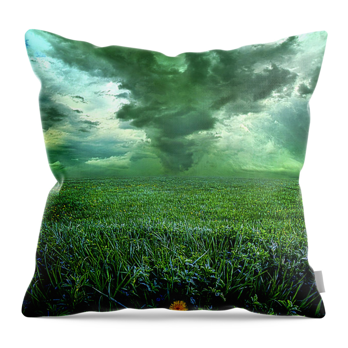 Dramatic Throw Pillow featuring the photograph So Do Not Fear For I Am Always With You by Phil Koch