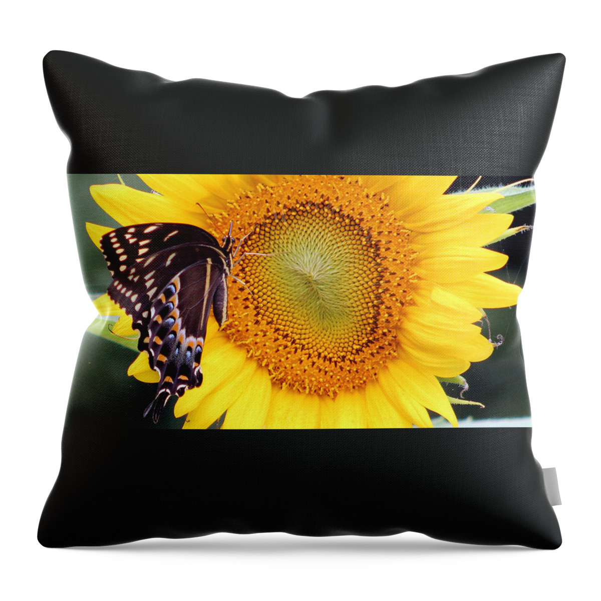 Flower Throw Pillow featuring the photograph So Good by DB Hayes