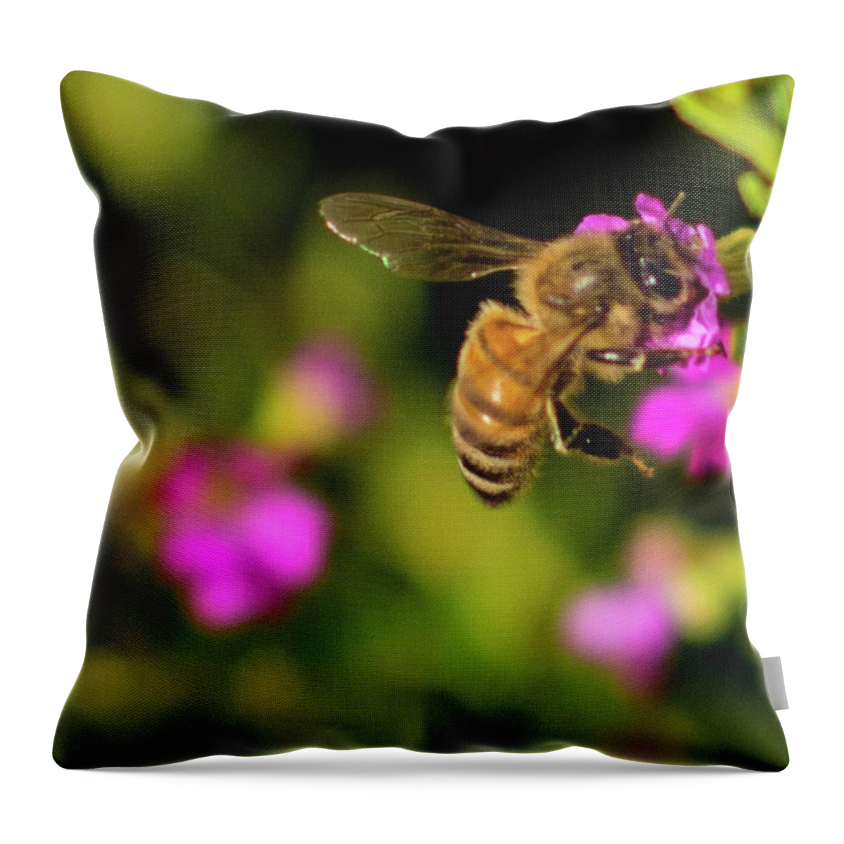 Flowers Throw Pillow featuring the photograph So Many Flowers... by Ed Clark