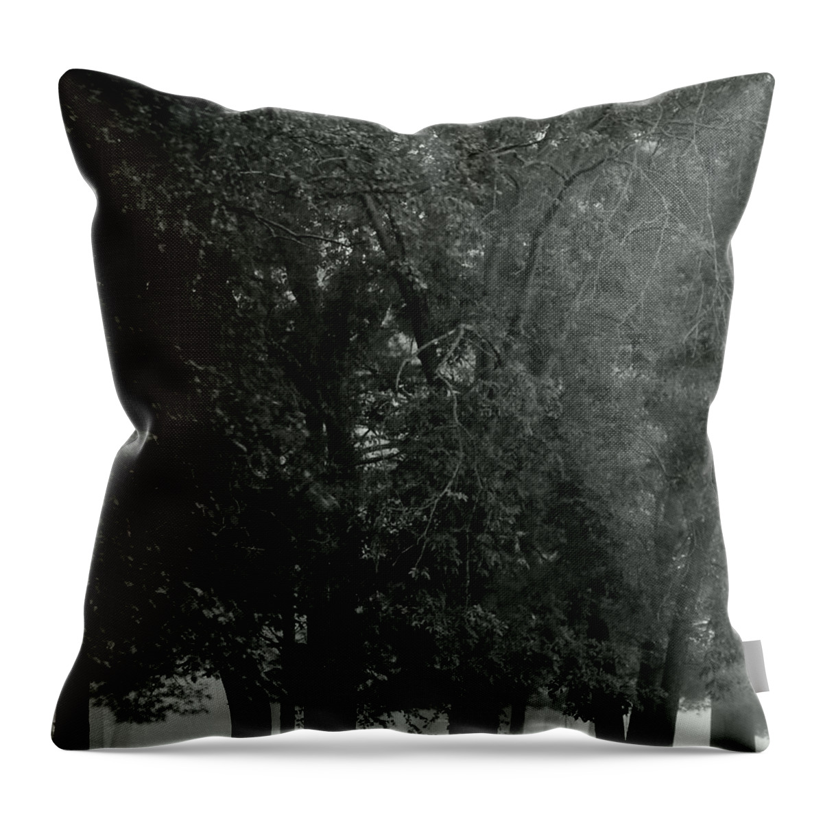 Mist Throw Pillow featuring the photograph So Quiet In Here by Wild Thing