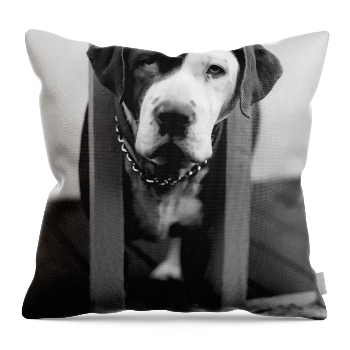 Black And White Throw Pillow featuring the photograph So Sad by Peter Piatt
