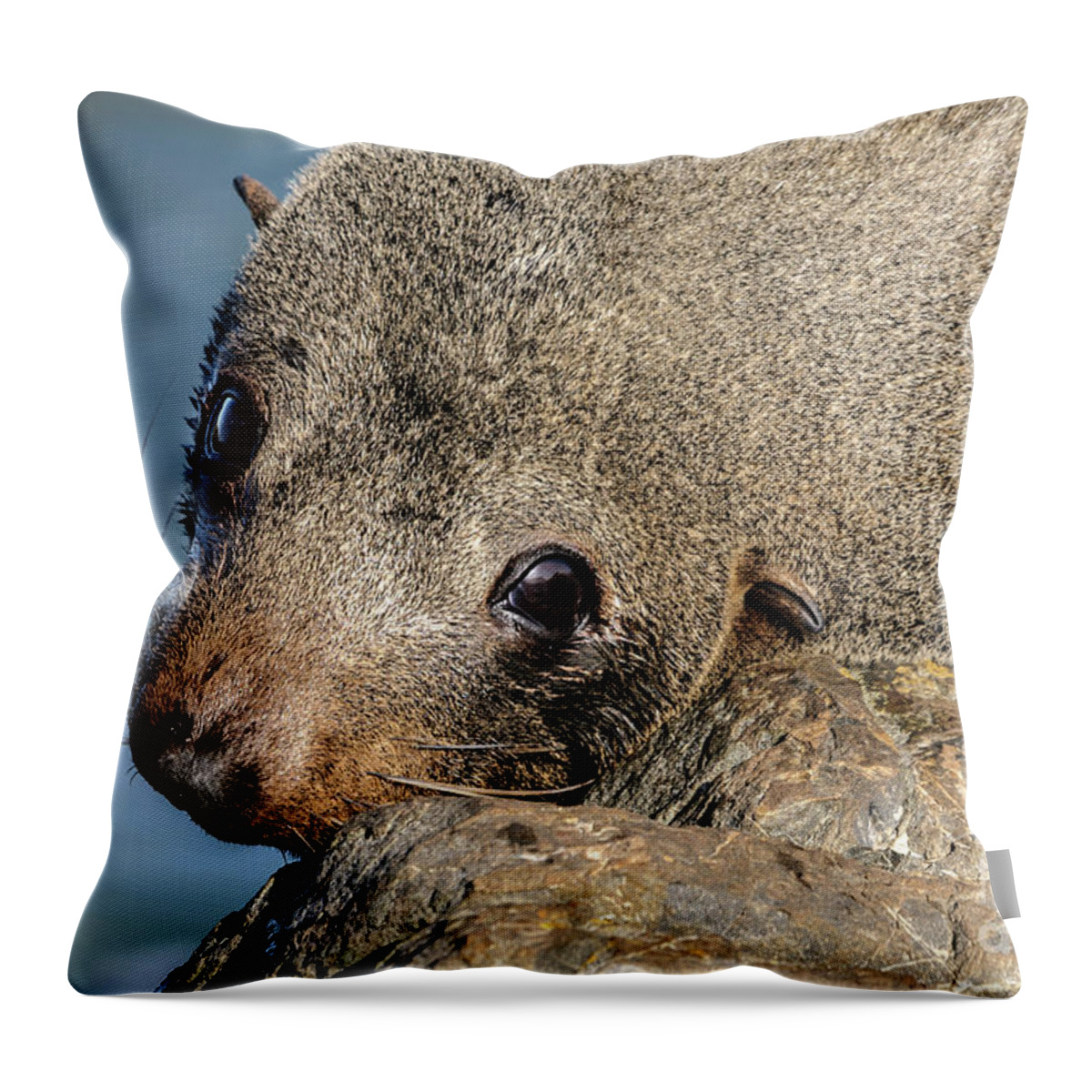 Seal Throw Pillow featuring the photograph So Sad by Werner Padarin