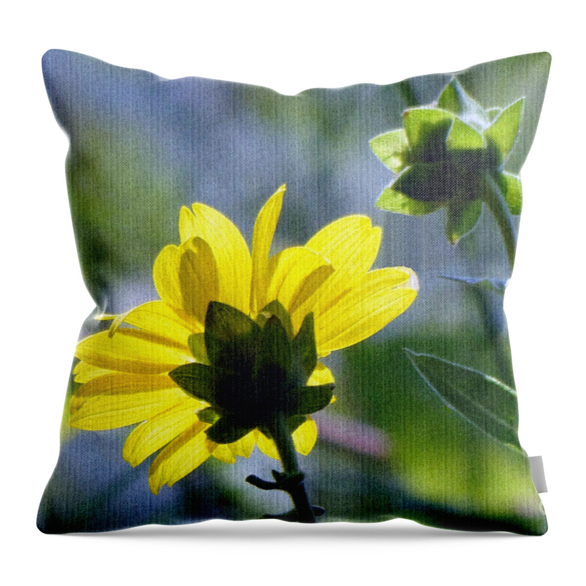 Daisy Throw Pillow featuring the photograph Soaking up the Sun by Sue Melvin