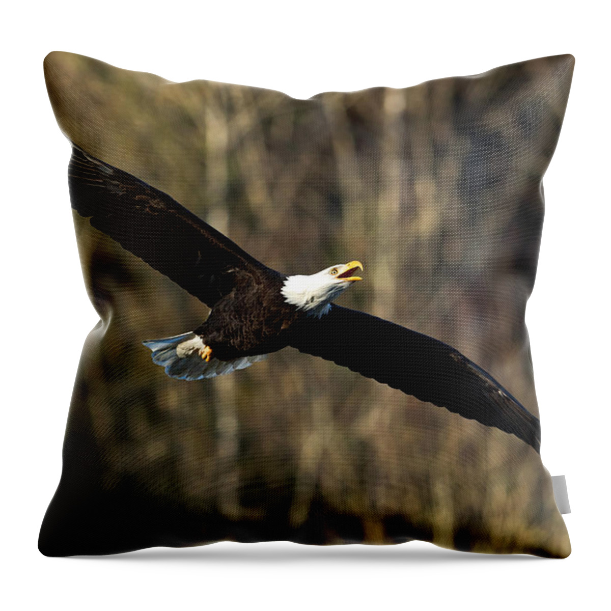 Eagle Throw Pillow featuring the photograph Soaring Higher II by Shari Sommerfeld