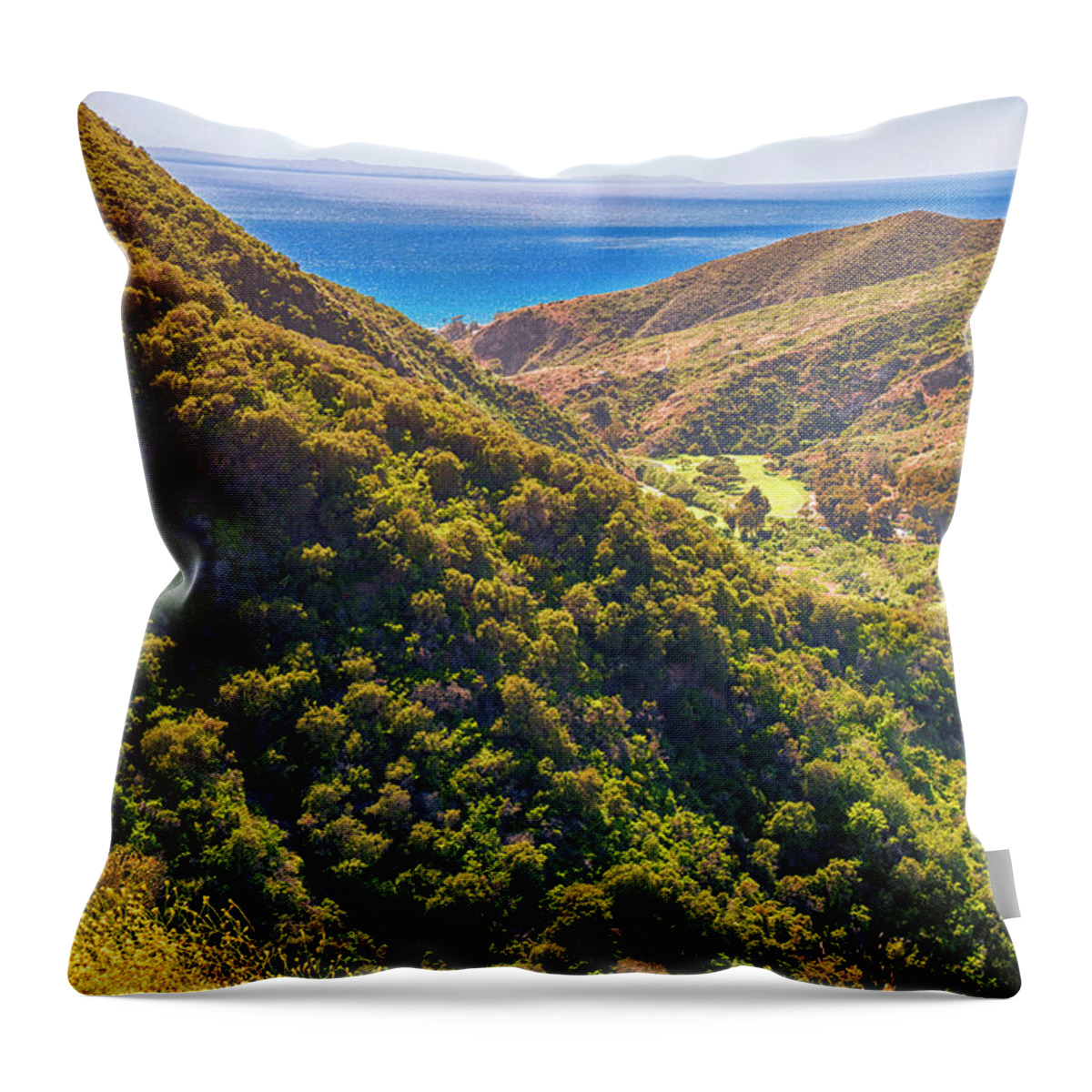 Soaring Throw Pillow featuring the photograph Soaring over california by Mariola Bitner