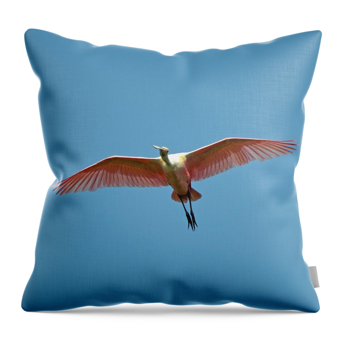 Heron Throw Pillow featuring the photograph Soaring Roseate Spoonbill by Kenneth Albin
