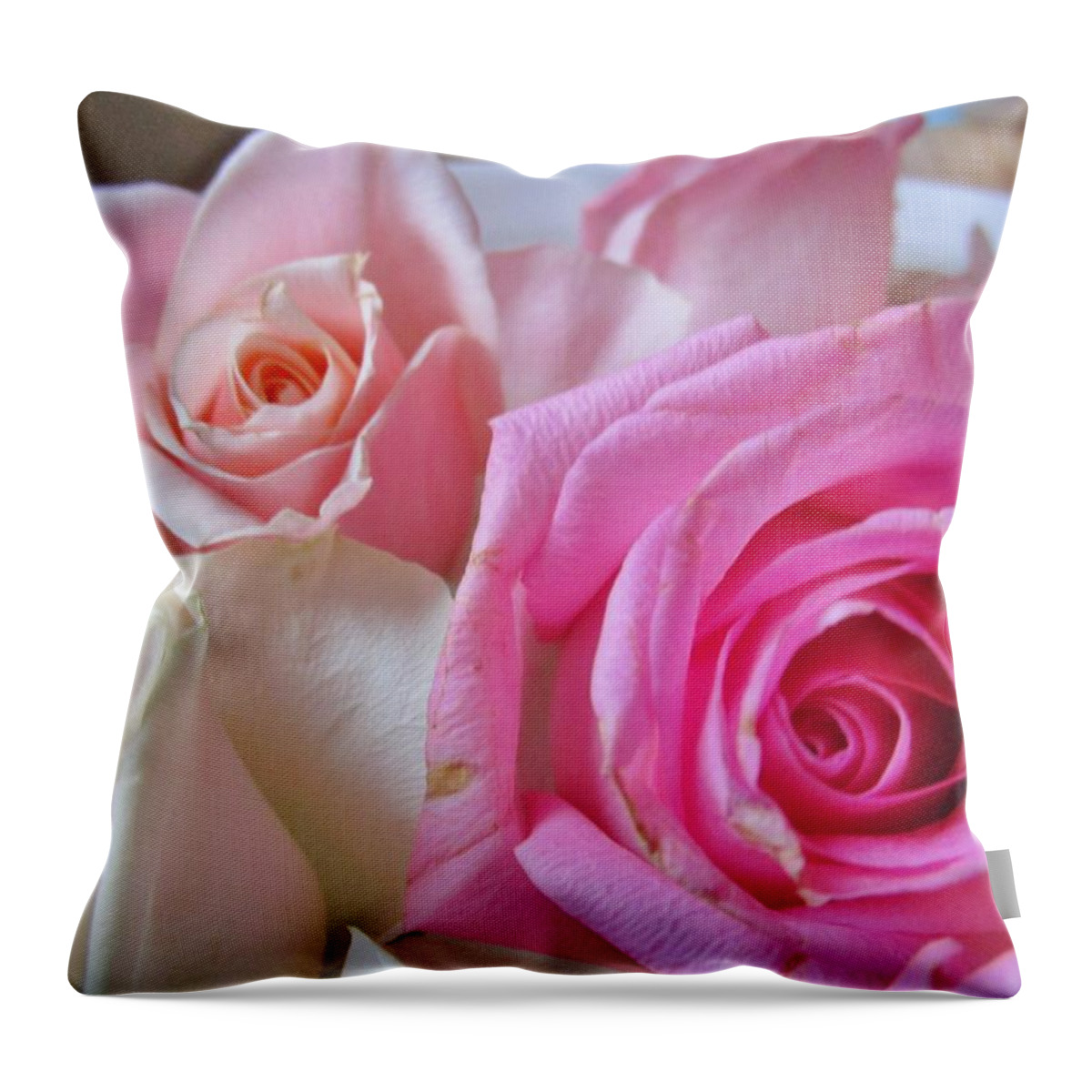 Roses Throw Pillow featuring the photograph Soft and sweet by Rosita Larsson