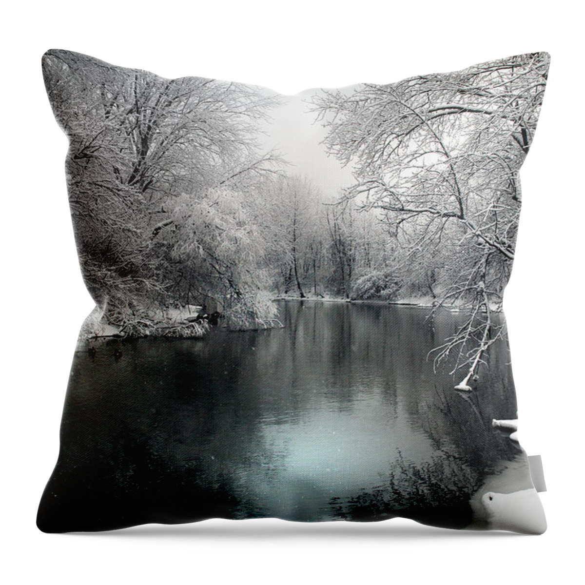 Snow Throw Pillow featuring the photograph Soft Blanket by Rob Blair