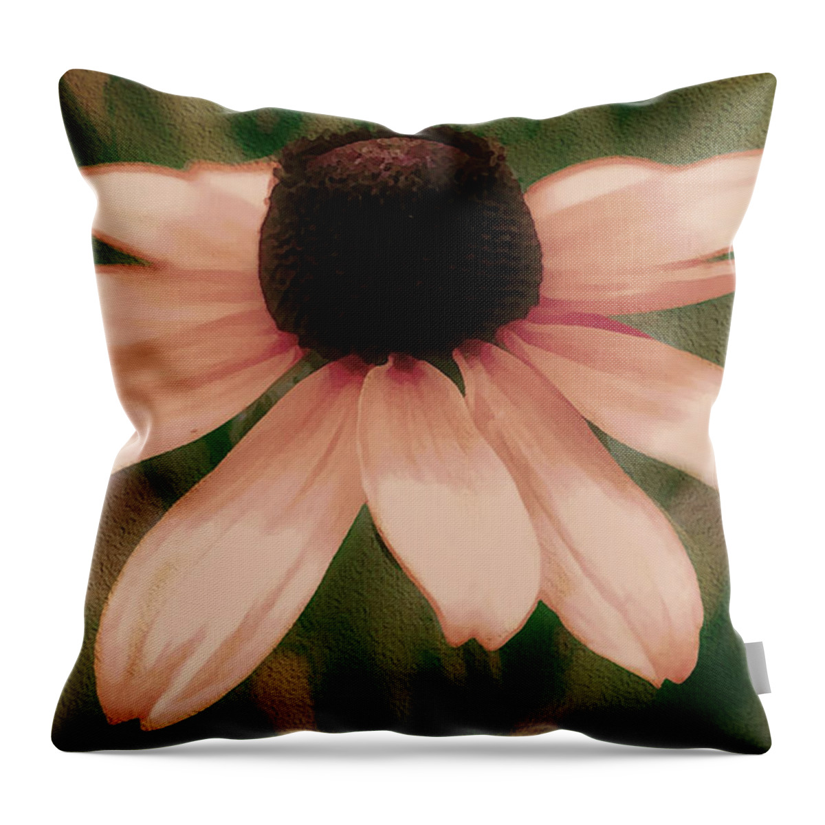 Nature Throw Pillow featuring the photograph Soft Delicate Pink Daisy by Judy Palkimas