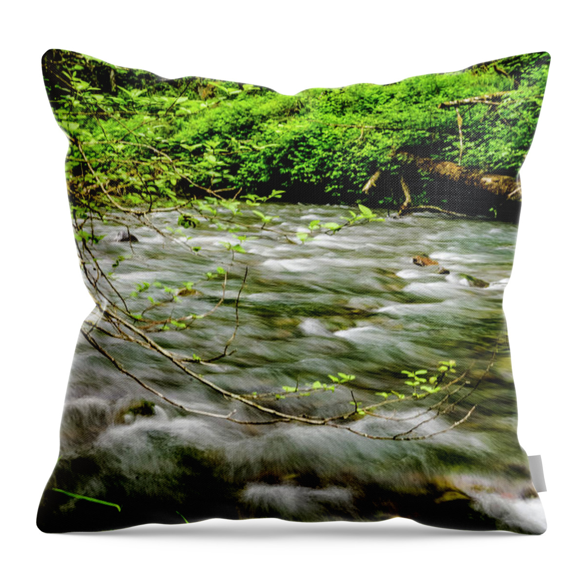 Water Throw Pillow featuring the photograph Soft Flow of Comfort by Tim Dussault