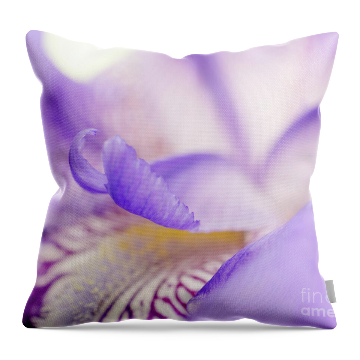 Flowers Throw Pillow featuring the photograph Soft Focus Iris Petals Botanical / Nature / Floral Photograph by PIPA Fine Art - Simply Solid
