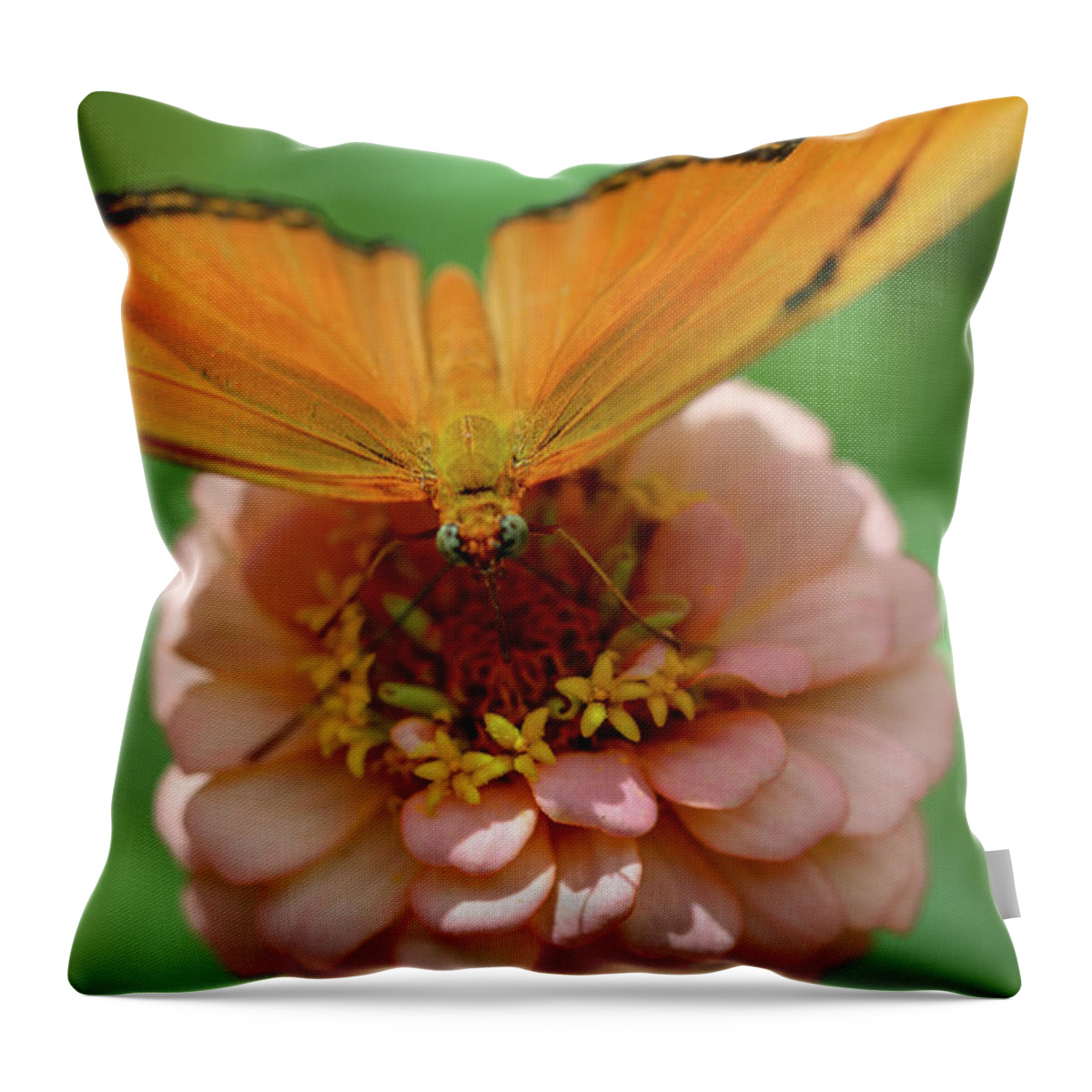 Butterfly Throw Pillow featuring the photograph Soft Landing by Mary Anne Delgado